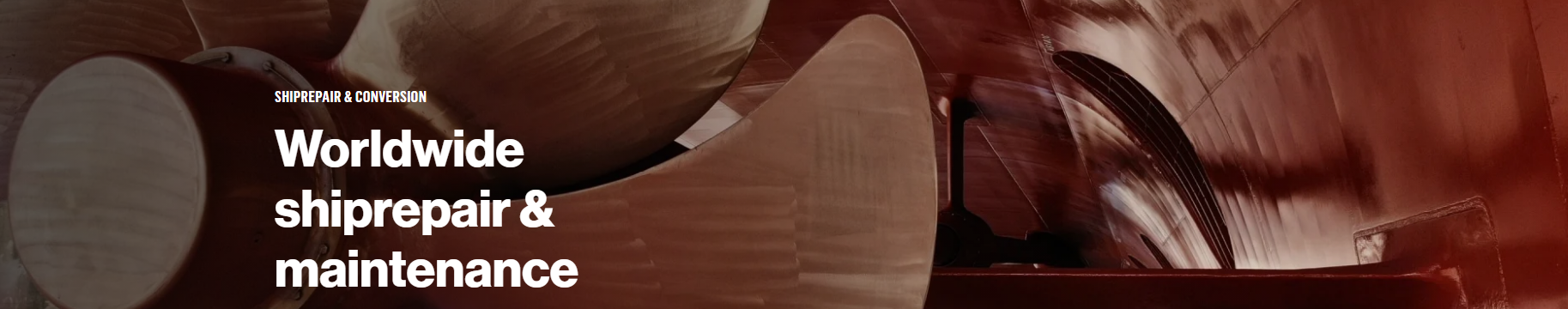 DAMEN, Damen Shiprepair & Conversion; DAMEN's Shirepair & Conversion, Worldwide ...